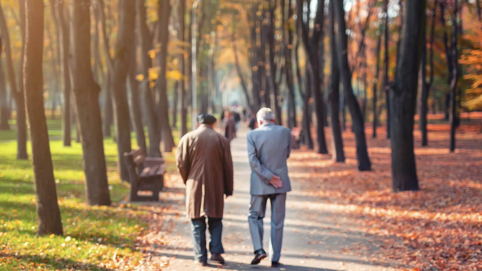 40 Jahre Gefälligkeit