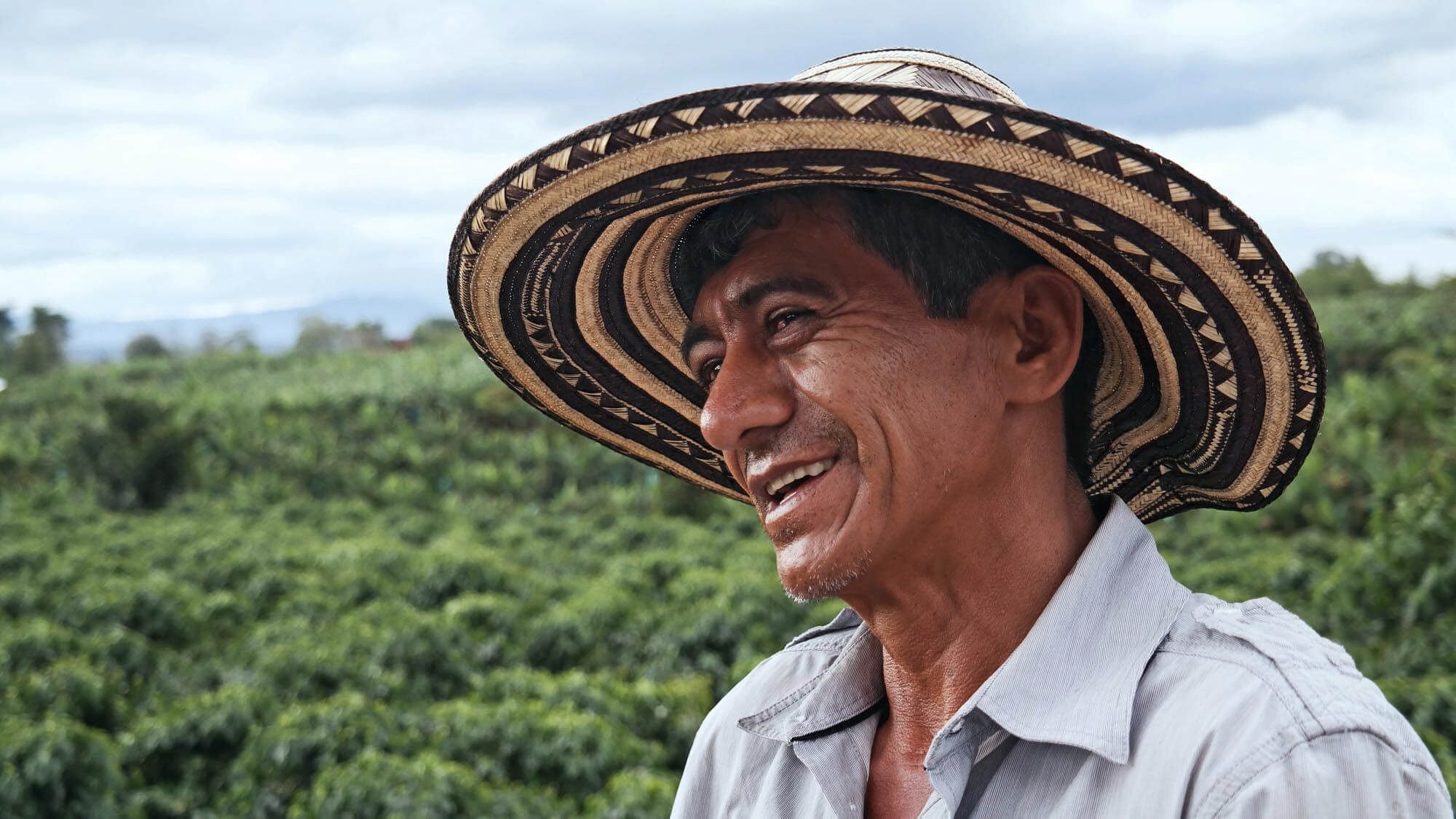 Nachhaltigkeit im Kaffeesektor