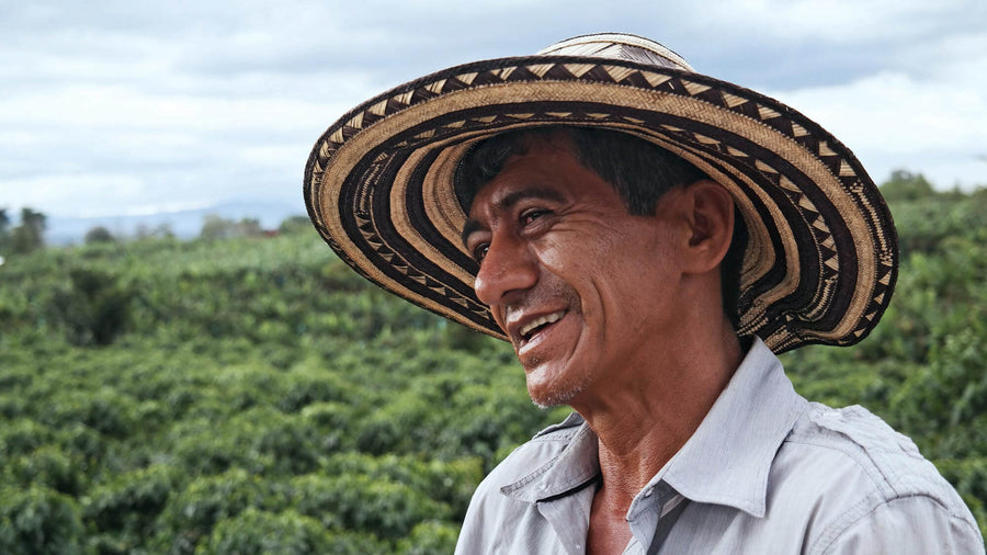 Nachhaltigkeit im Kaffeesektor